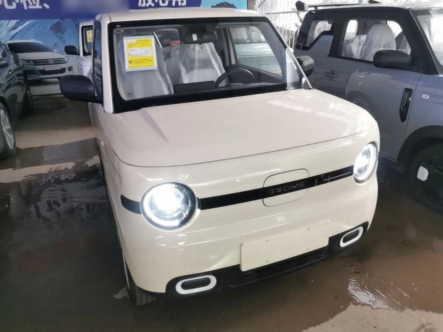 Geely Galaxy Panda 2025 210 km – Yuanqi Bear — миниатюра 2