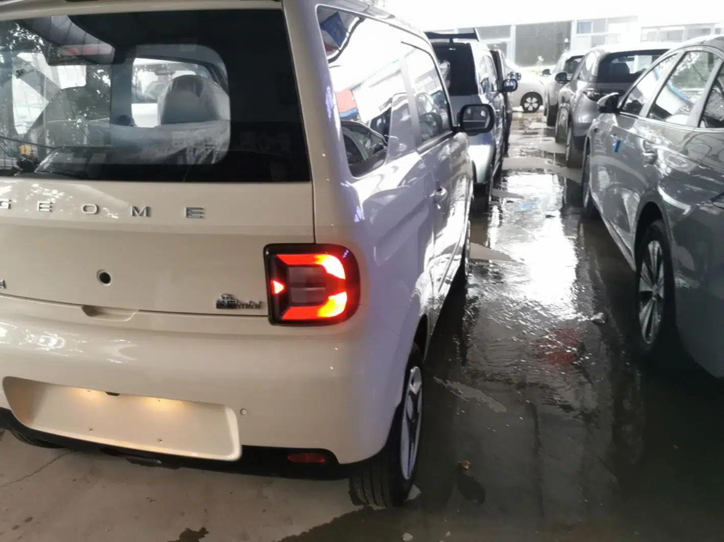 Geely Galaxy Panda 2025 210 km – Yuanqi Bear — миниатюра 9