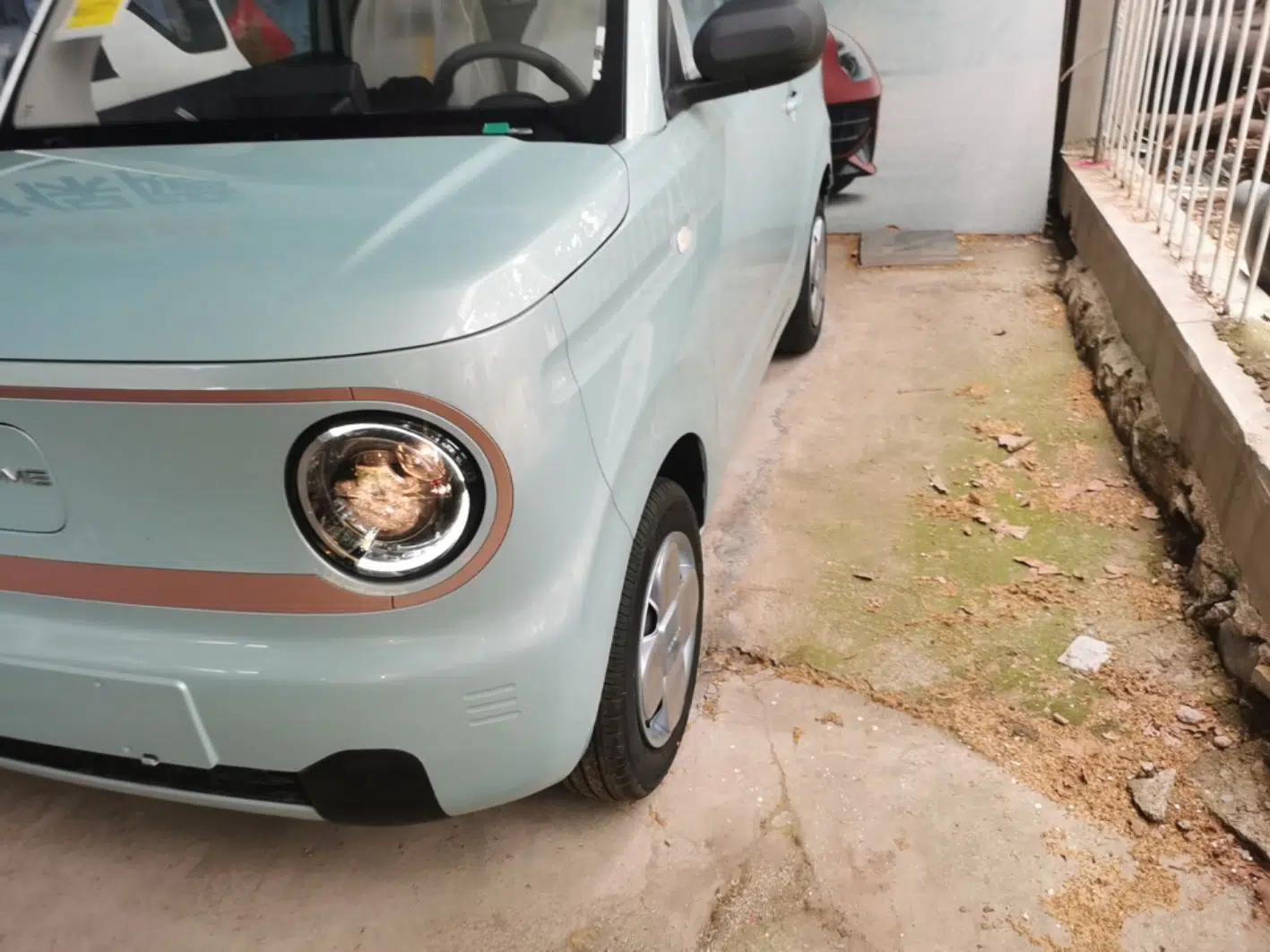 Geely Galaxy Panda 2024 Panda Mini 200km Endurance Bear — миниатюра 8