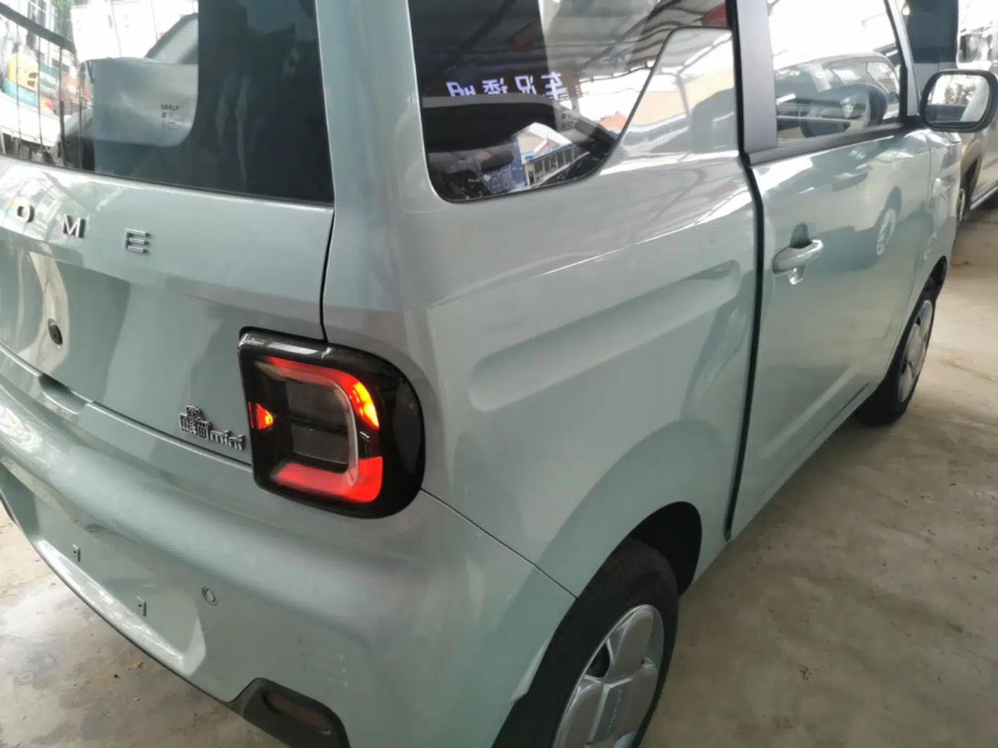 Geely Galaxy Panda 2024 Panda Mini 200km Endurance Bear — миниатюра 9