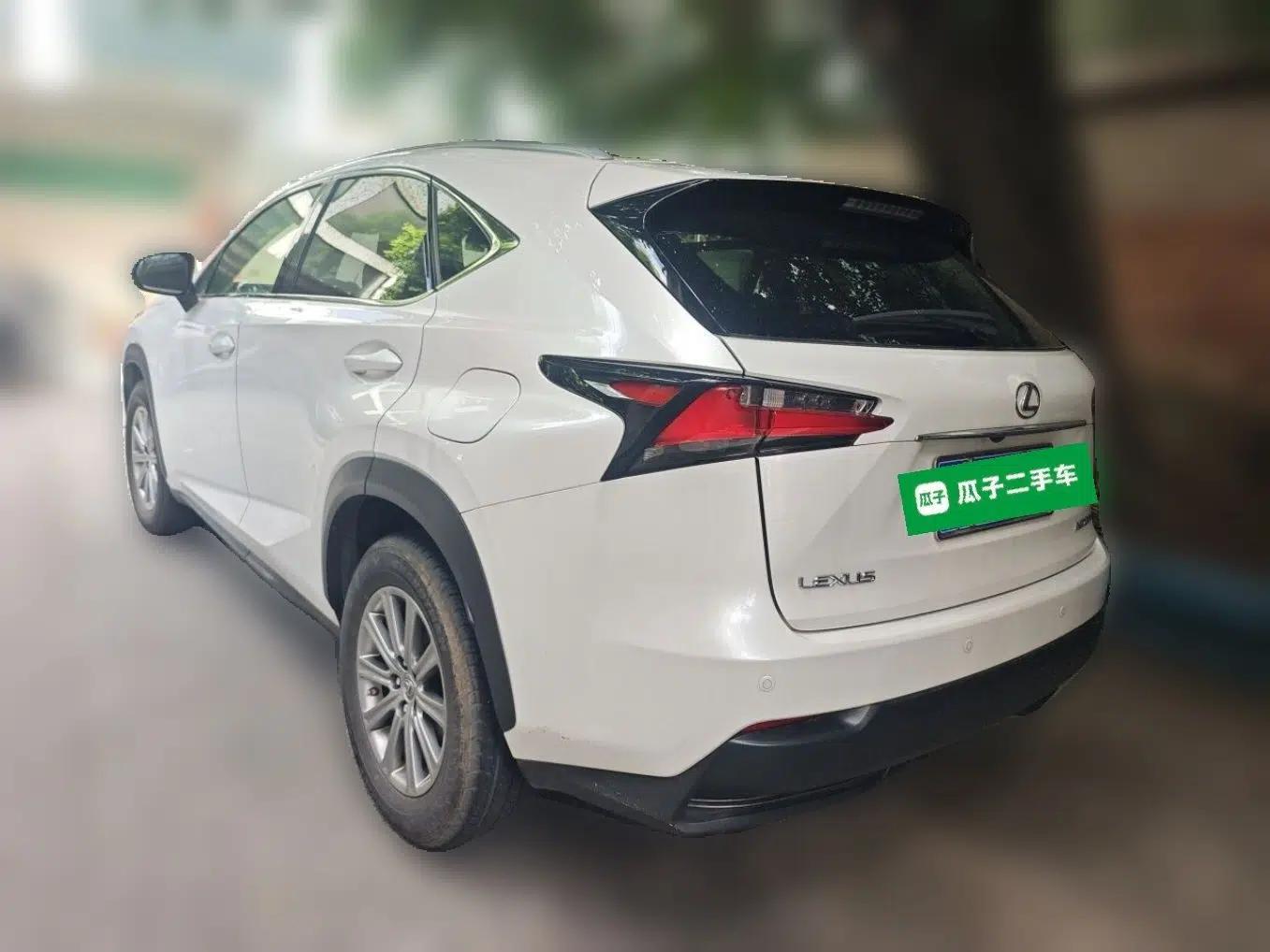 Lexus NX 2016 200 All-Wheel Drive FENGSHANG Version — миниатюра 4