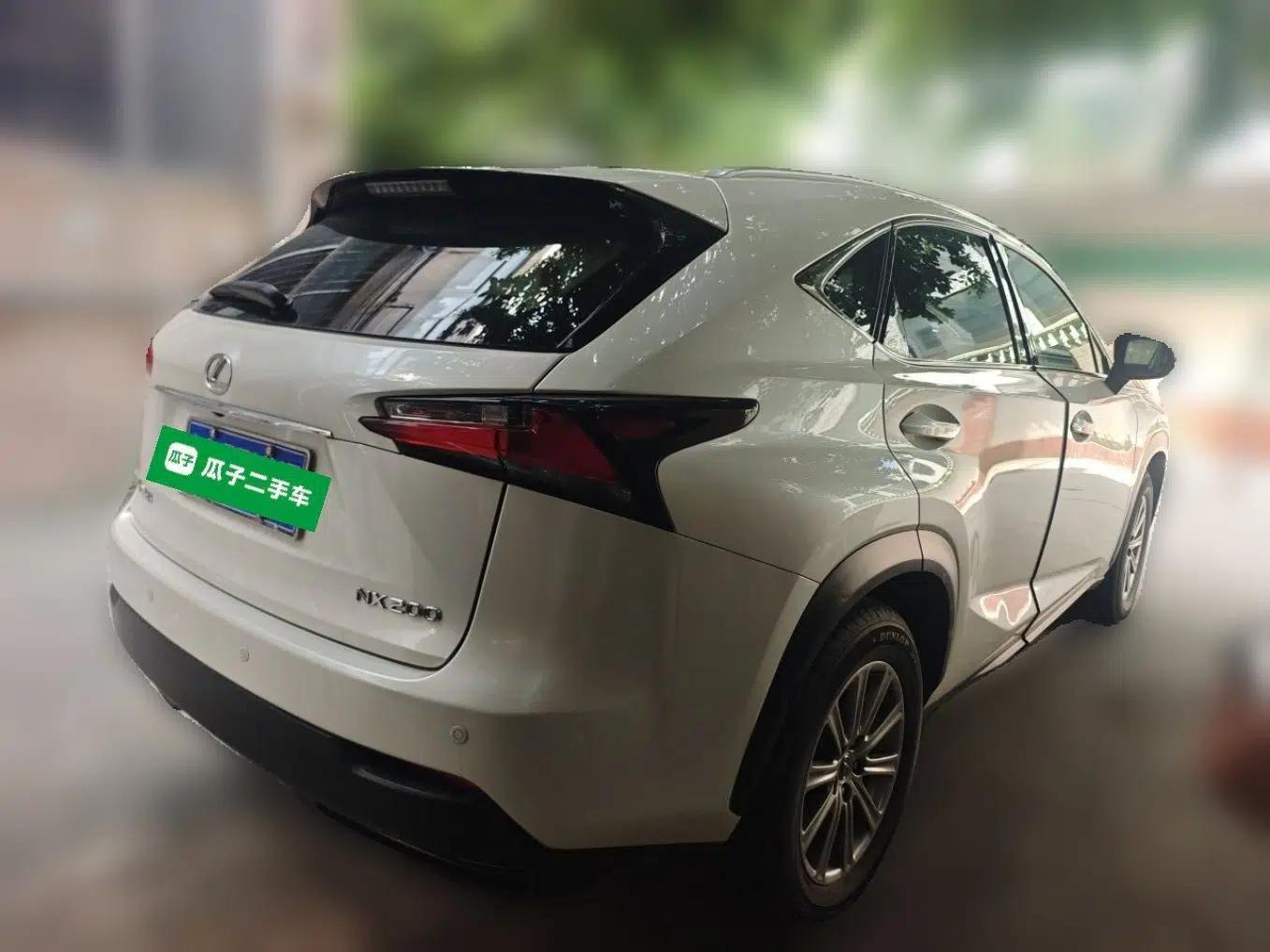 Lexus NX 2016 200 All-Wheel Drive FENGSHANG Version — миниатюра 6