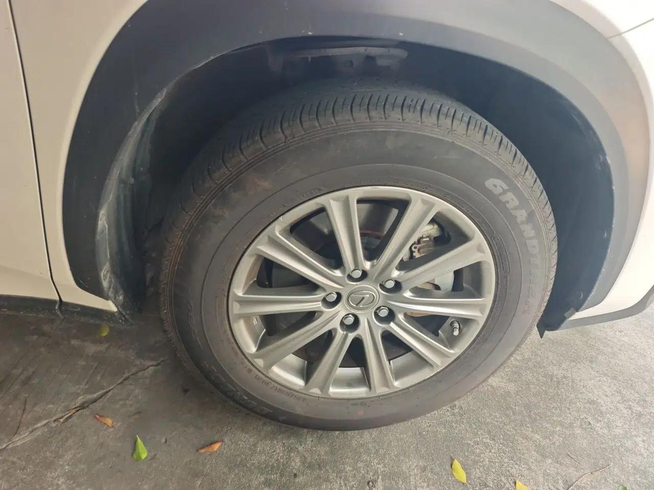 Lexus NX 2016 200 All-Wheel Drive FENGSHANG Version — миниатюра 8
