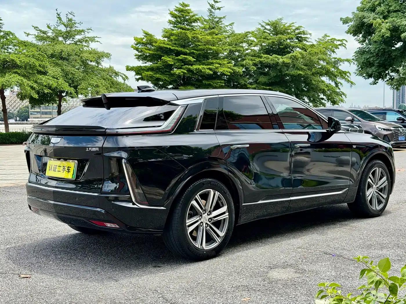 iQ Ruige 2024 Rear-Wheel Drive Standard Range Luxury Edition — миниатюра 5