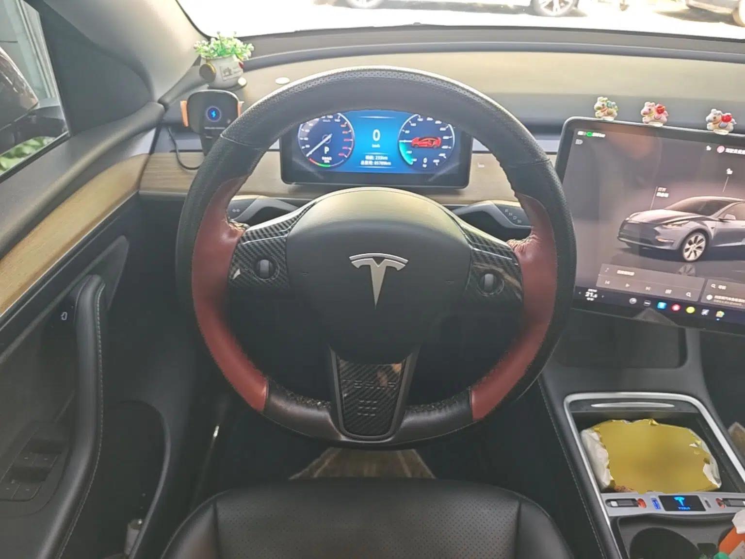 Tesla Model Y 2022 Rear-Wheel-Drive Version — миниатюра 13