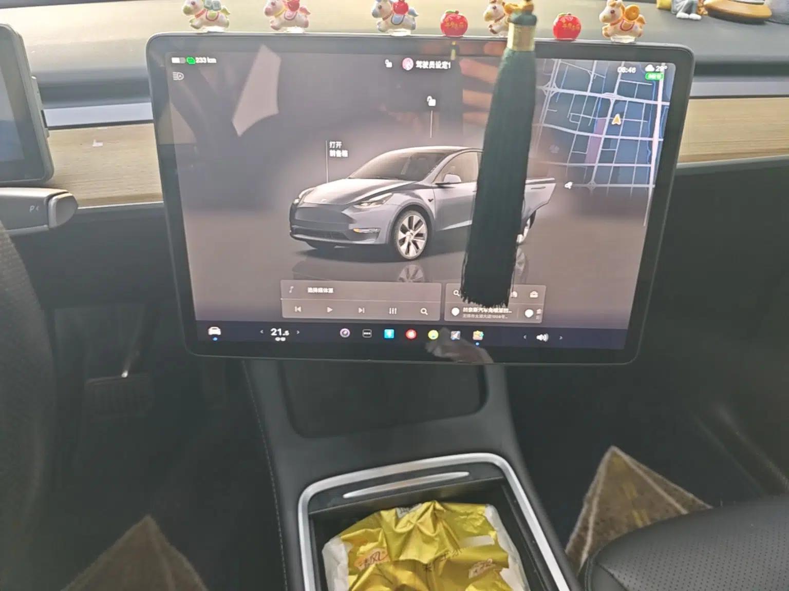 Tesla Model Y 2022 Rear-Wheel-Drive Version — миниатюра 15