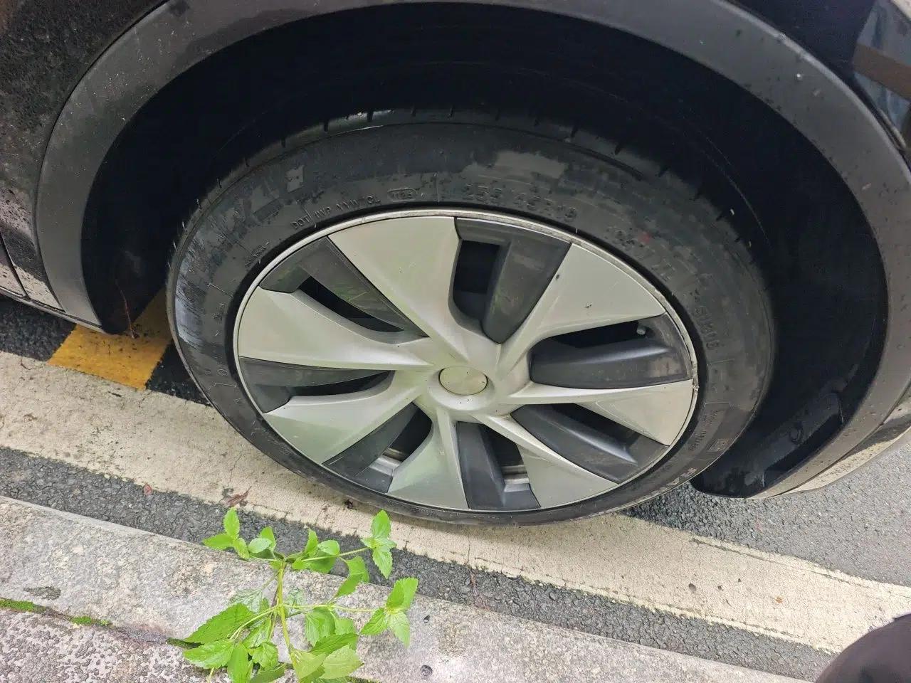 Tesla Model Y 2022 Revised Version Rear-Wheel Drive — миниатюра 8