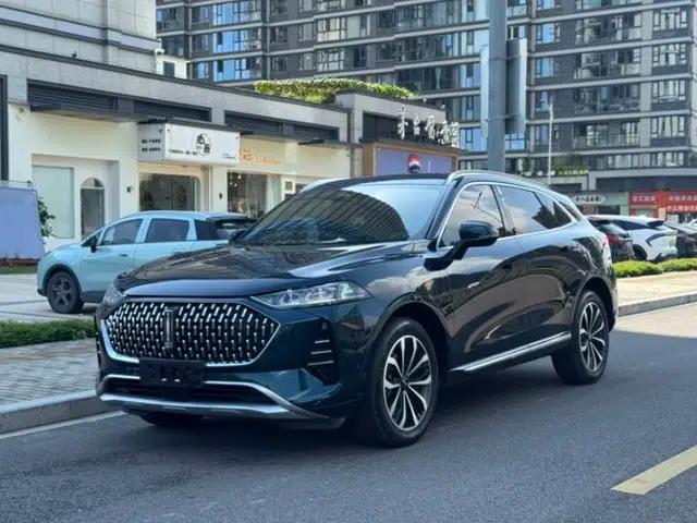 Wey Mocha 2021 2.0T Four-Wheel Drive Premium Edition