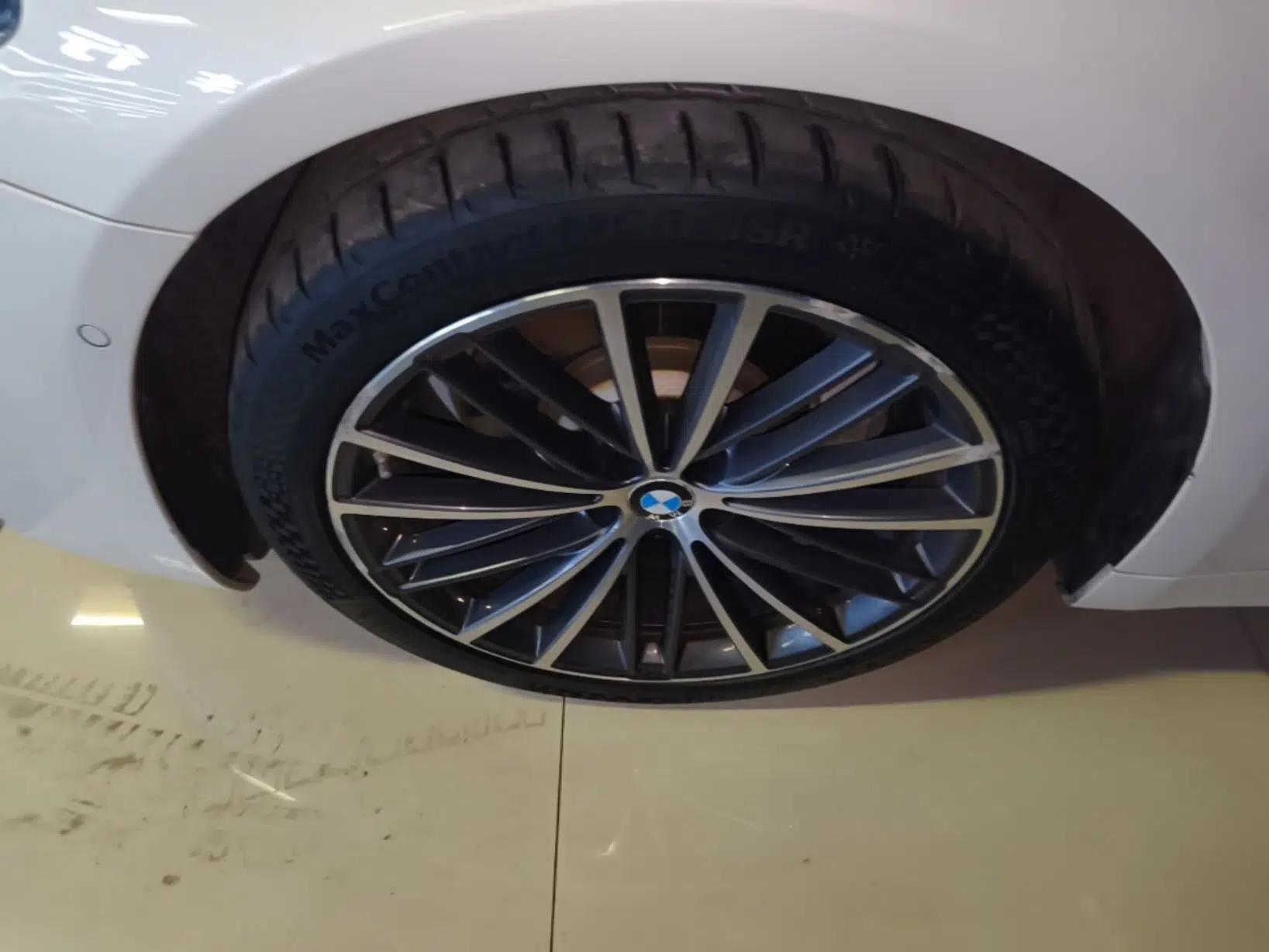 BMW 5 Series 2020 530Li Leading Model M Sport Package — миниатюра 10