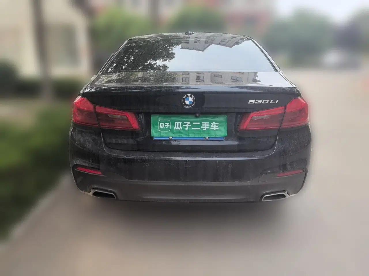 BMW 5 Series 2018 530Li Luxury Edition M Sport Package — миниатюра 5