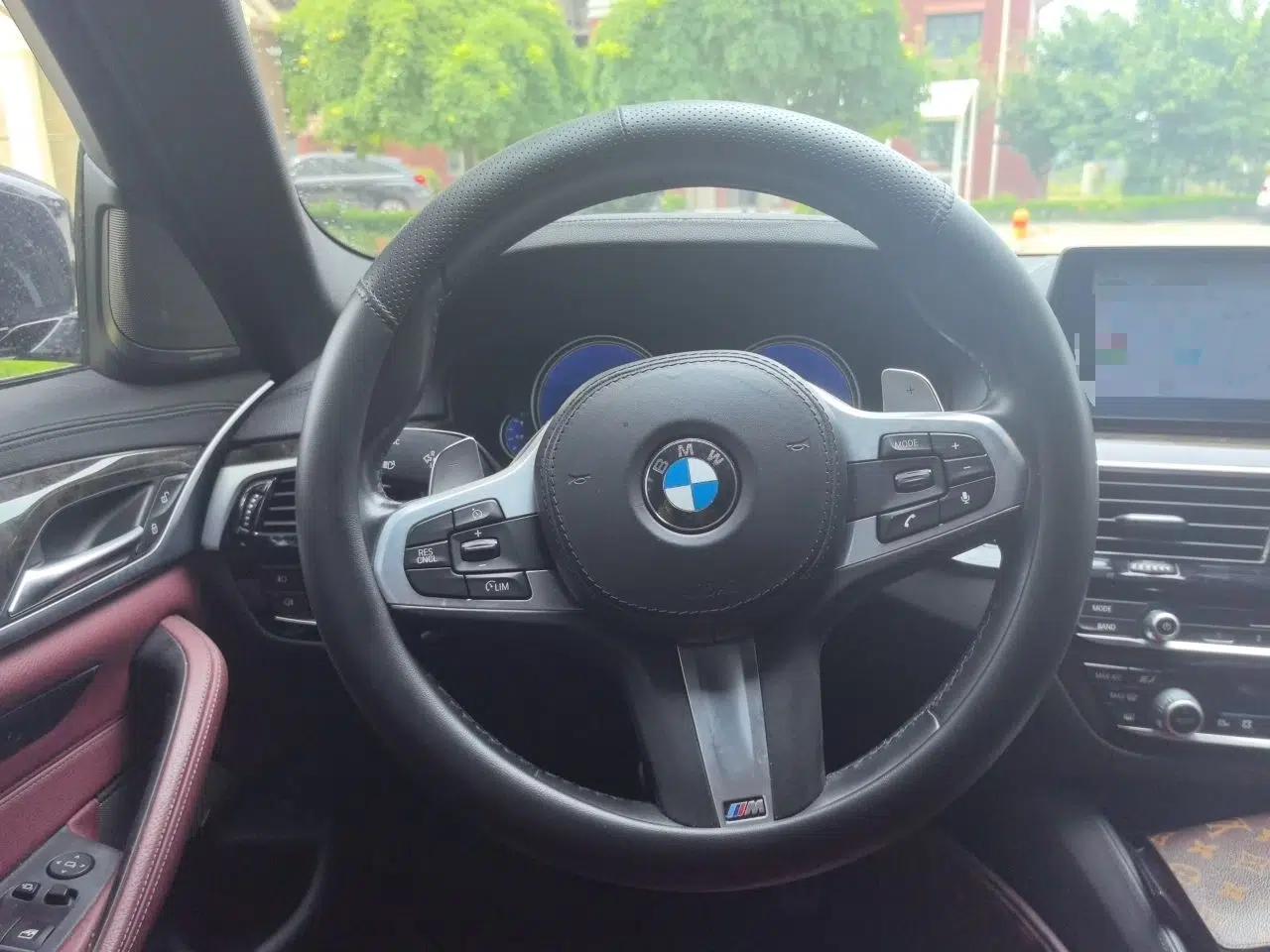 BMW 5 Series 2018 530Li Luxury Edition M Sport Package — миниатюра 10