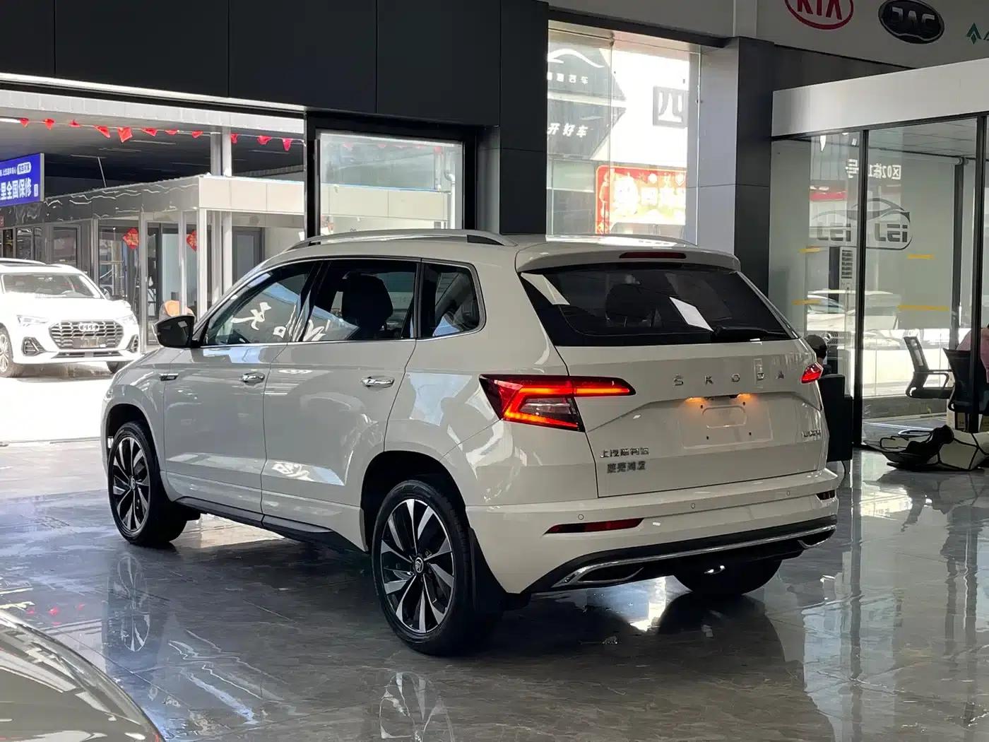 Karoq 2022 TSI280 Premium Edition — миниатюра 15