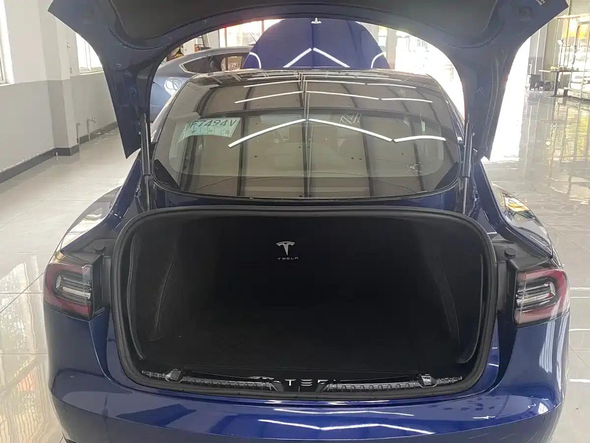 Model 3 2020 Facelift Standard Range Rear-Wheel Drive Upgrade — миниатюра 7