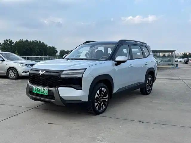 Starlight 560 New Energy 2026 Plug-in Hybrid 125km/h Luxury Model