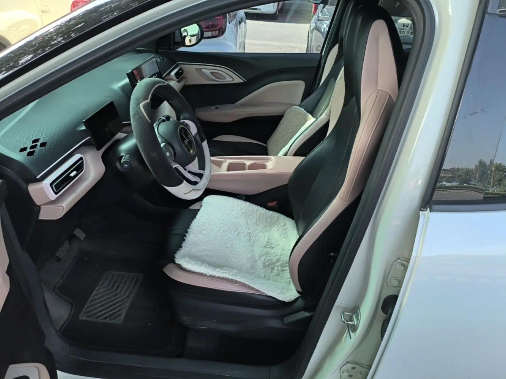 BYD Seagull 2025 305km Active Version — миниатюра 17