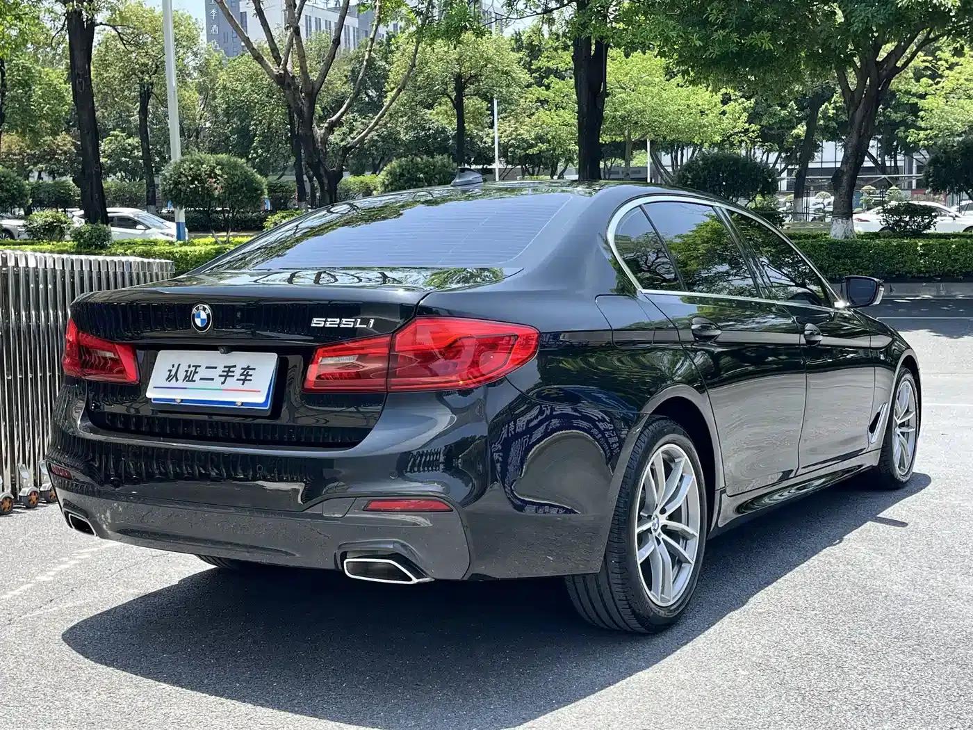 2020 BMW 5 Series 525Li M Sport Package — миниатюра 6