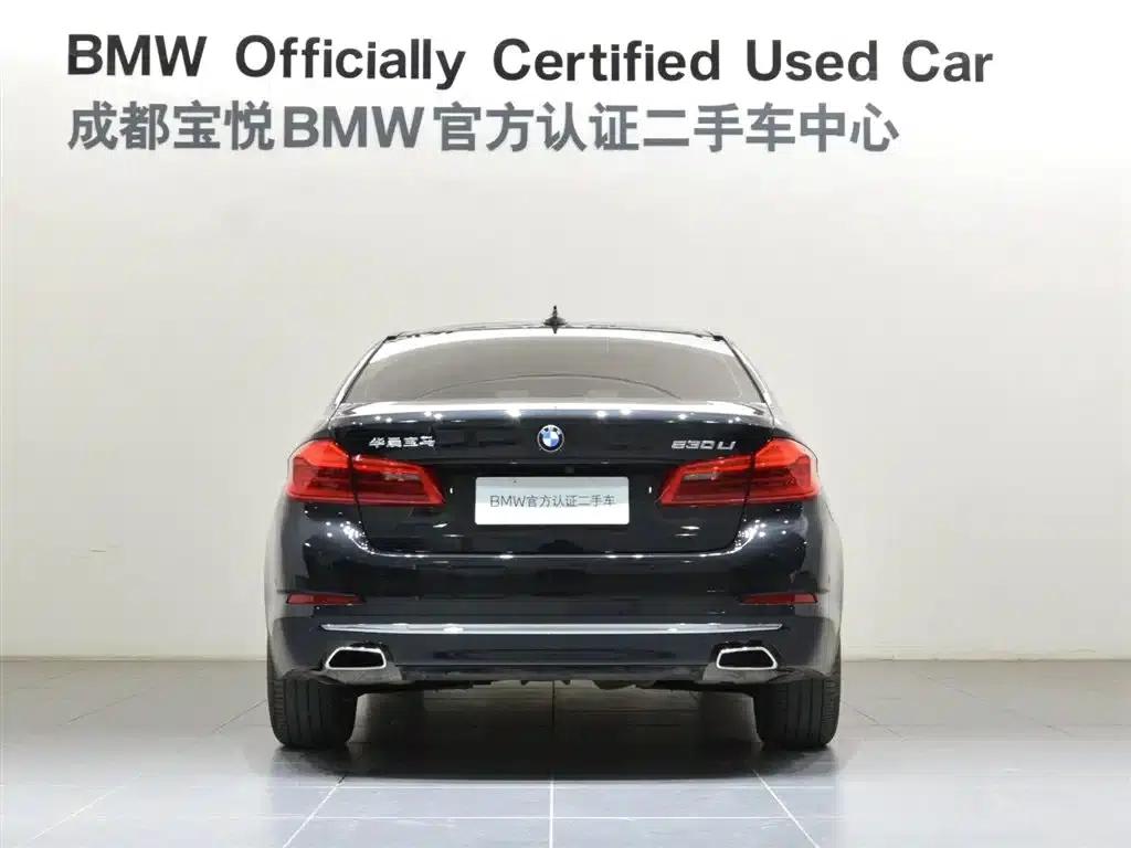 BMW 5 Series 2020 530Li Leading Luxury Package — миниатюра 4