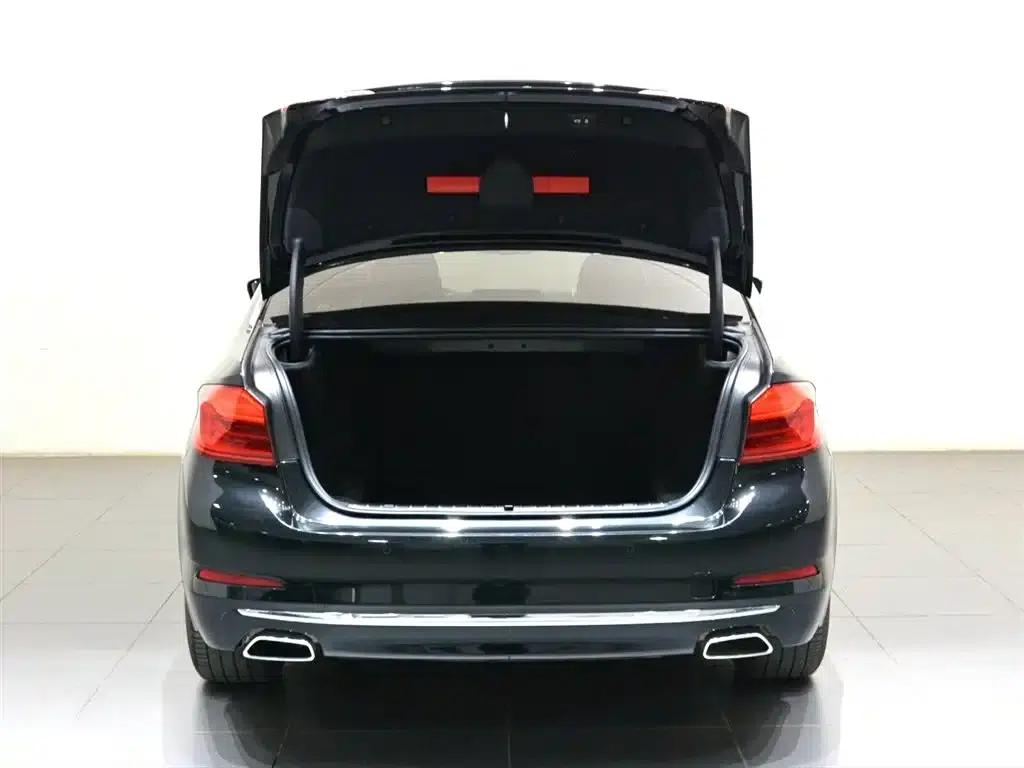 BMW 5 Series 2020 530Li Leading Luxury Package — миниатюра 5