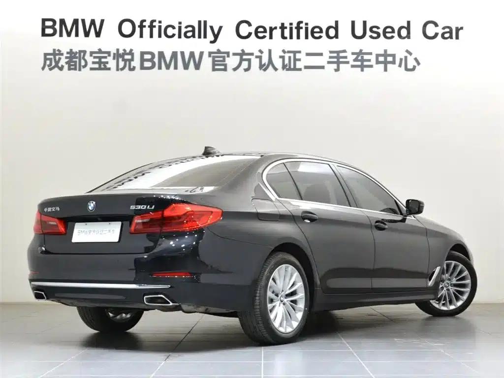 BMW 5 Series 2020 530Li Leading Luxury Package — миниатюра 6