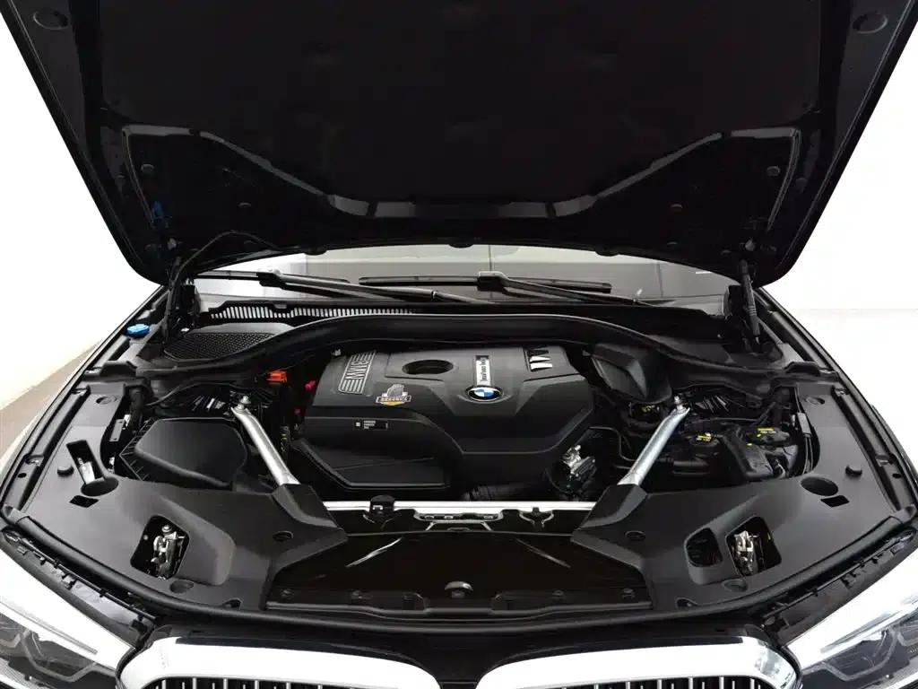BMW 5 Series 2020 530Li Leading Luxury Package — миниатюра 7