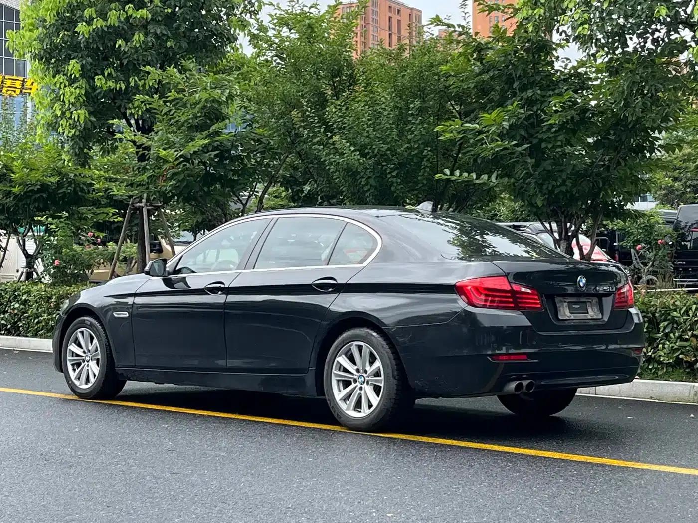 BMW 5 Series 2017 520Li Elegant Edition — миниатюра 4