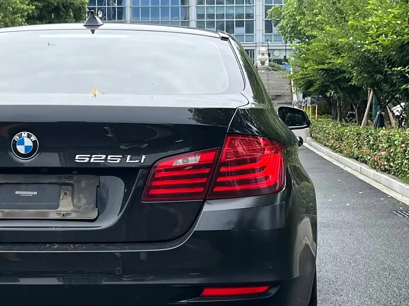 BMW 5 Series 2017 520Li Elegant Edition — миниатюра 6