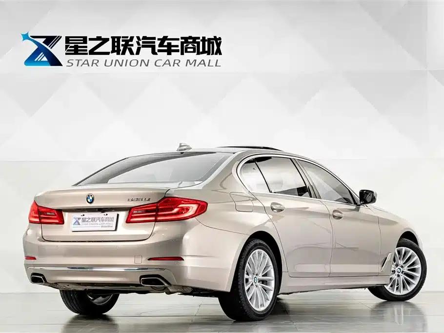 2019 BMW 5 Series 525Li Luxury Package — миниатюра 6