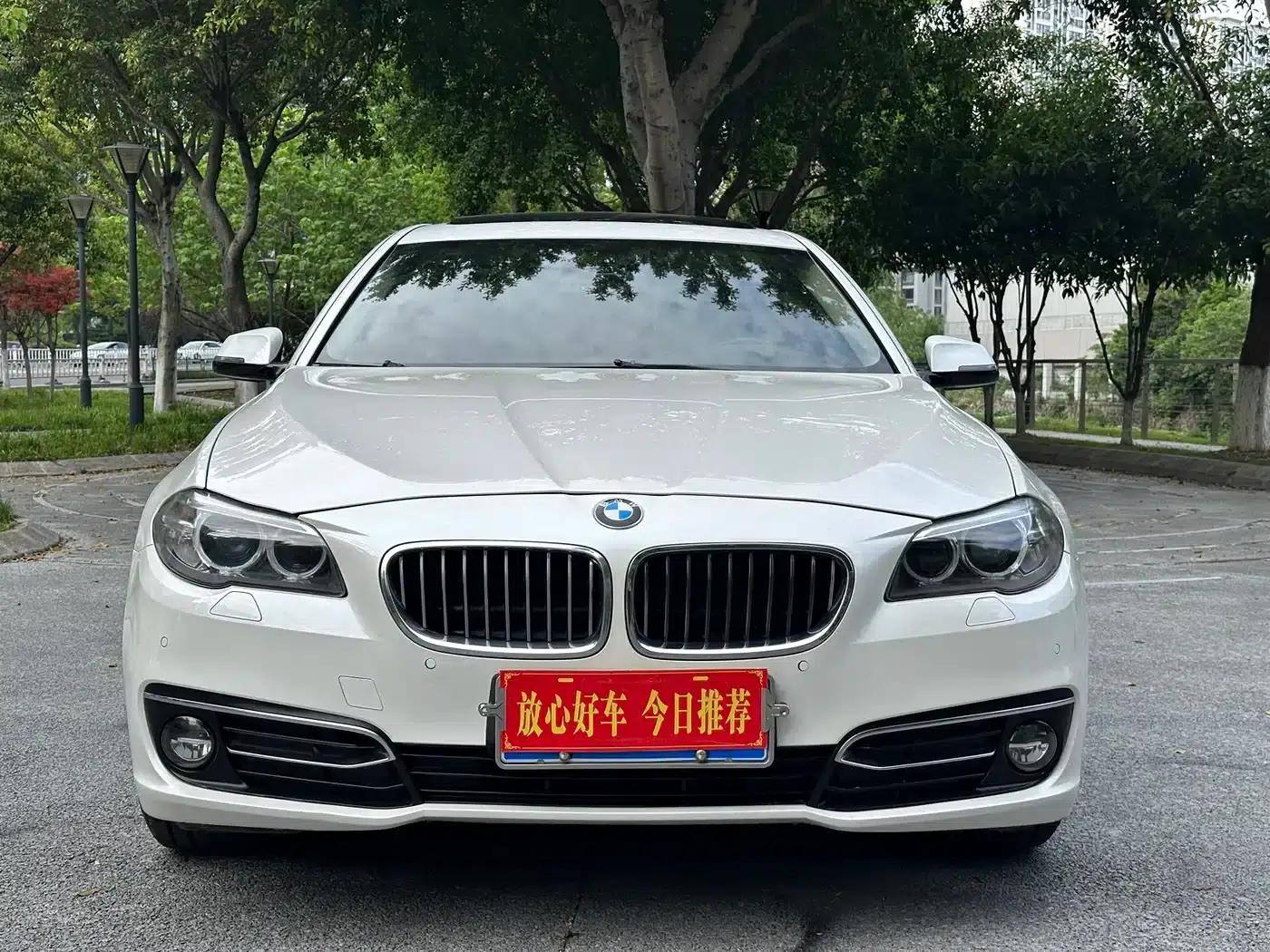 2017 BMW 5 Series 525Li Luxury Design Package — миниатюра 2