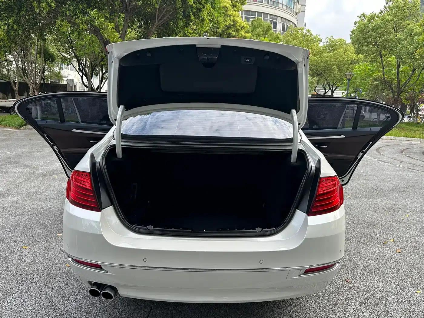 2017 BMW 5 Series 525Li Luxury Design Package — миниатюра 11