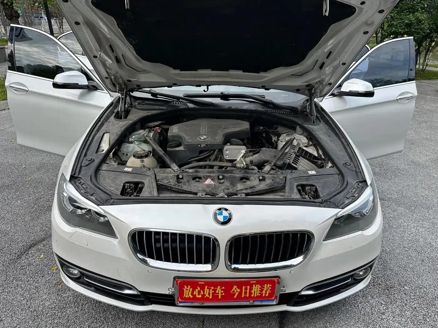 2017 BMW 5 Series 525Li Luxury Design Package — миниатюра 19