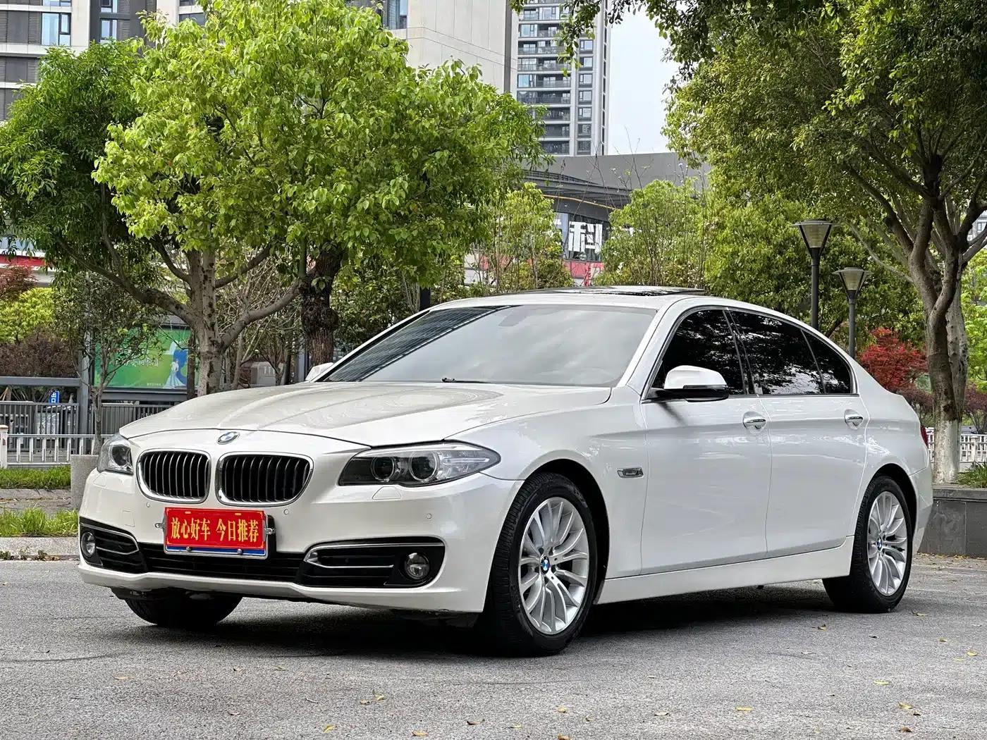 2017 BMW 5 Series 525Li Luxury Design Package — миниатюра 3