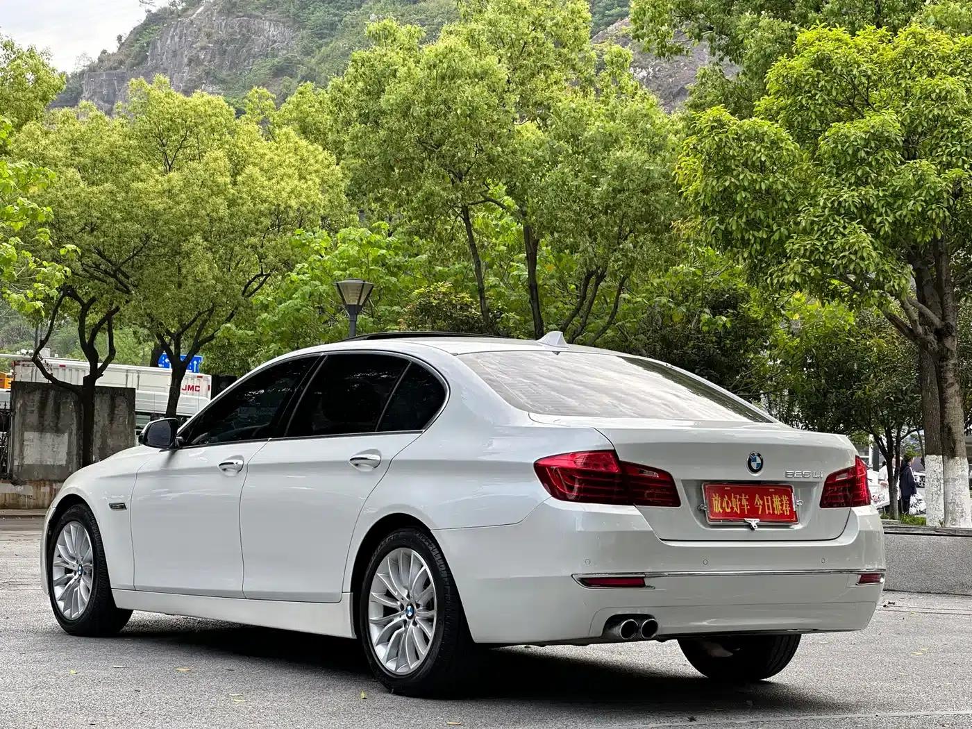 2017 BMW 5 Series 525Li Luxury Design Package — миниатюра 5