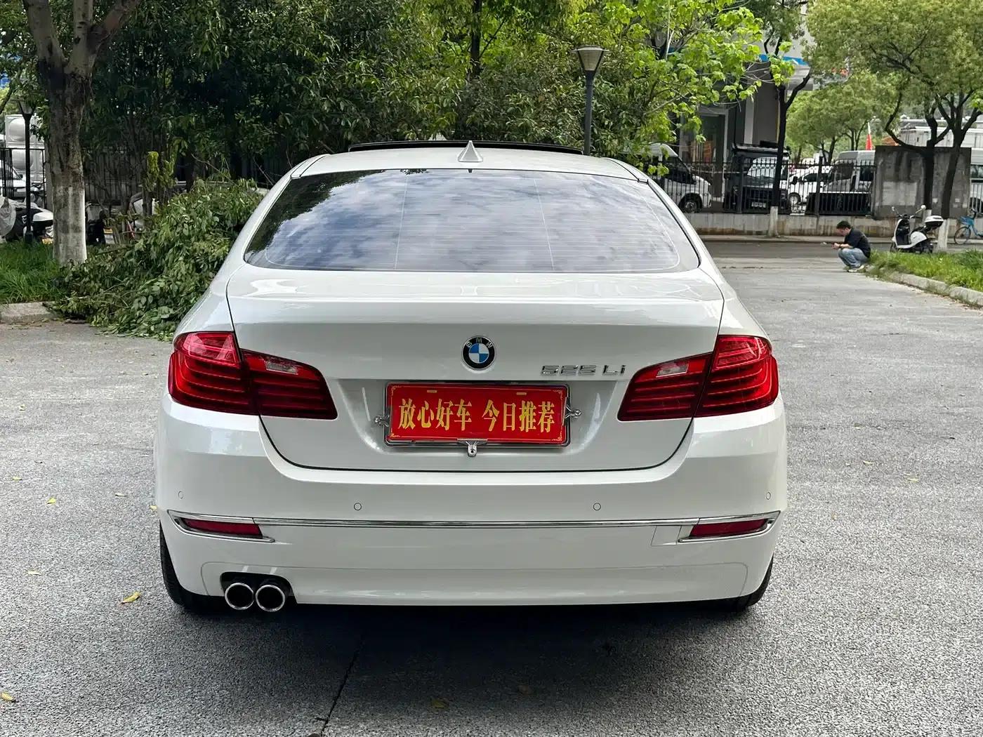 2017 BMW 5 Series 525Li Luxury Design Package — миниатюра 6