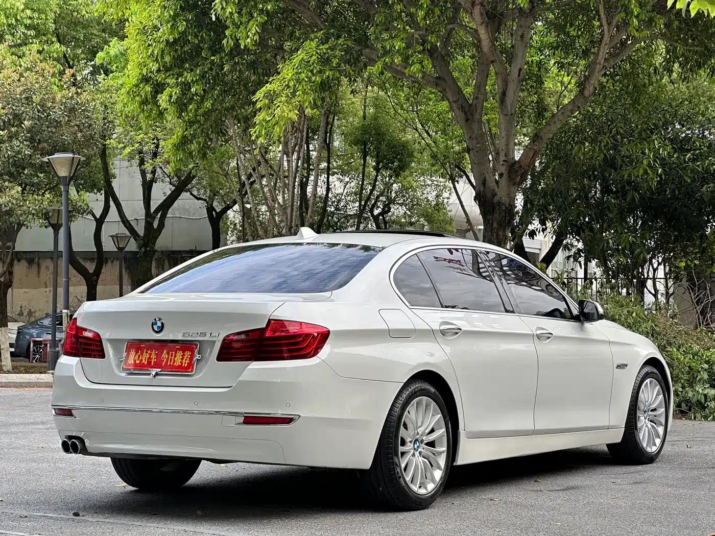 2017 BMW 5 Series 525Li Luxury Design Package — миниатюра 7