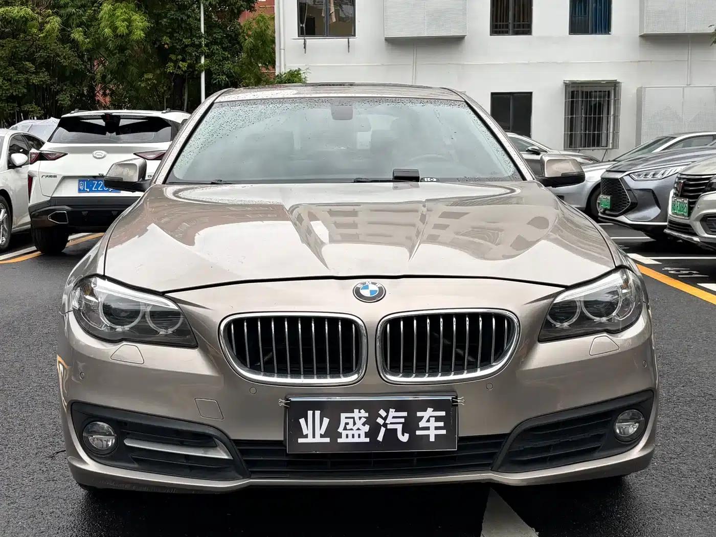 BMW 5 Series 2017 520Li Elegant Edition — миниатюра 2