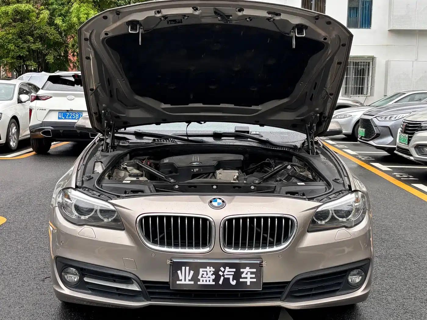BMW 5 Series 2017 520Li Elegant Edition — миниатюра 15