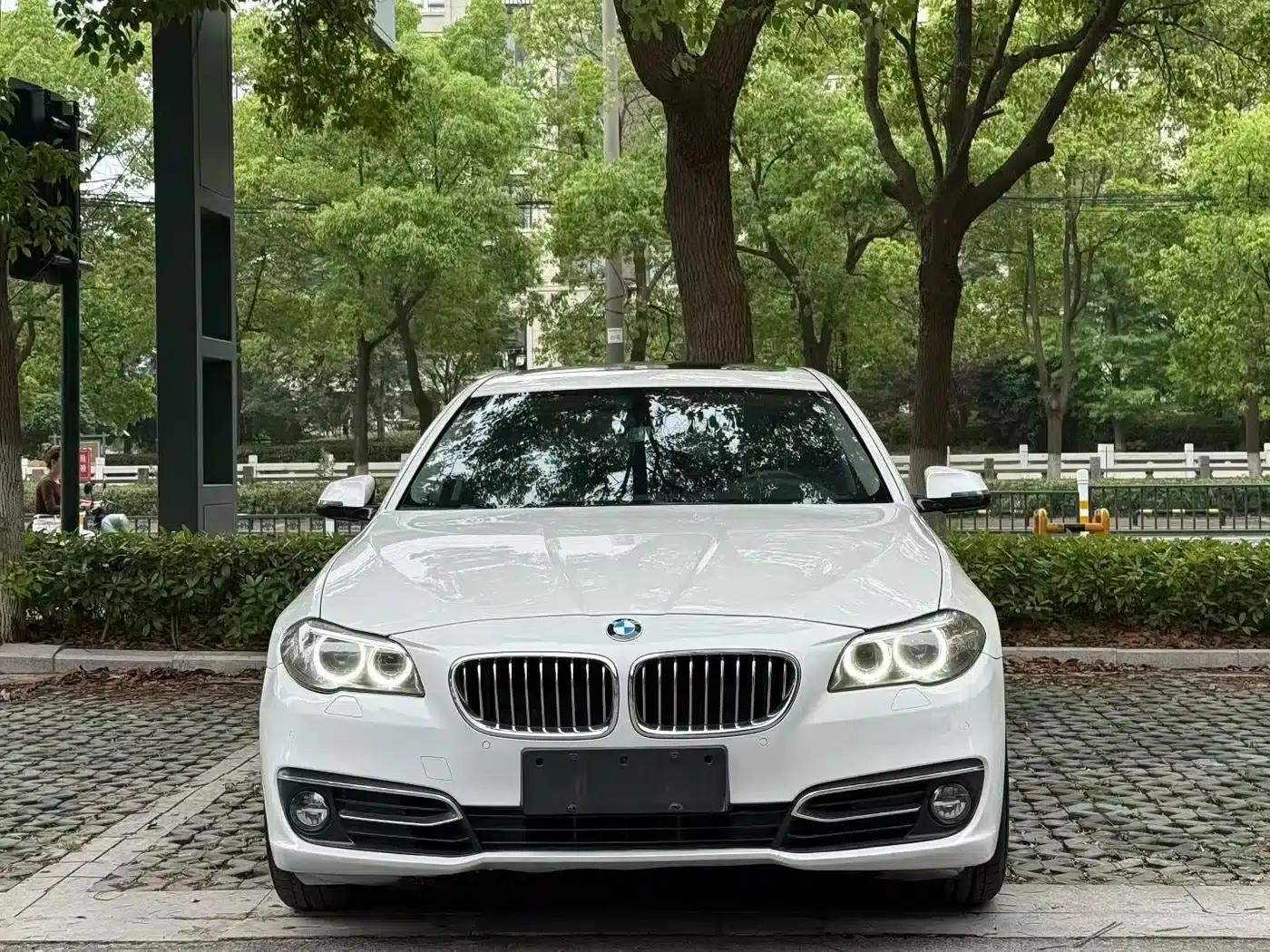 2014 BMW 5 Series 525Li Luxury Design Package — миниатюра 3
