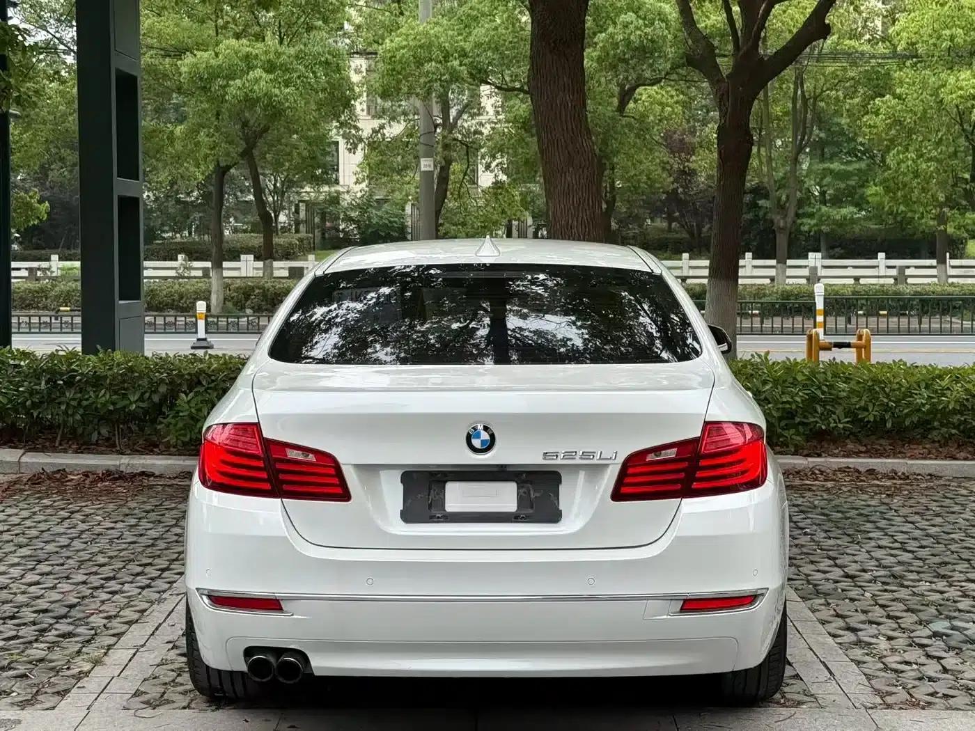 2014 BMW 5 Series 525Li Luxury Design Package — миниатюра 7