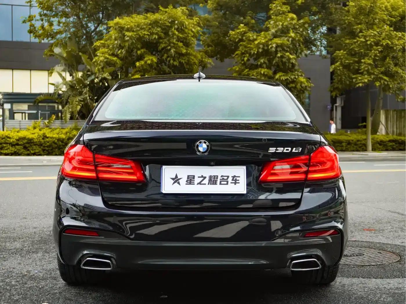 2019 BMW 5 Series 530Li Leading Edition M Sport Package — миниатюра 4