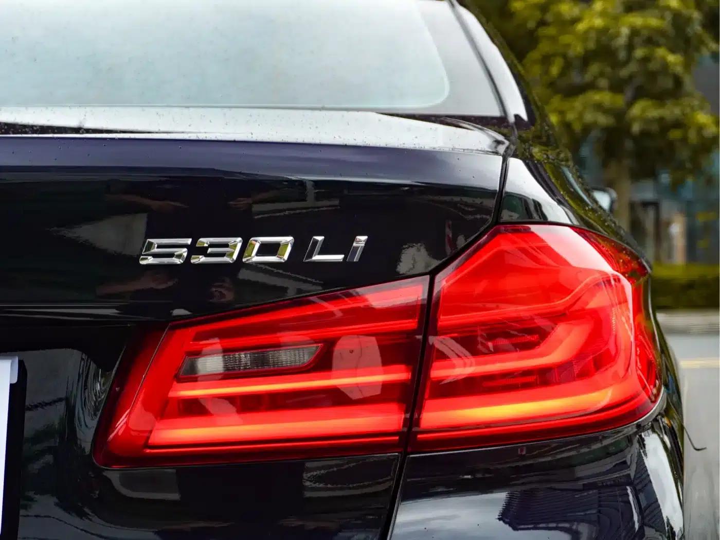 2019 BMW 5 Series 530Li Leading Edition M Sport Package — миниатюра 7