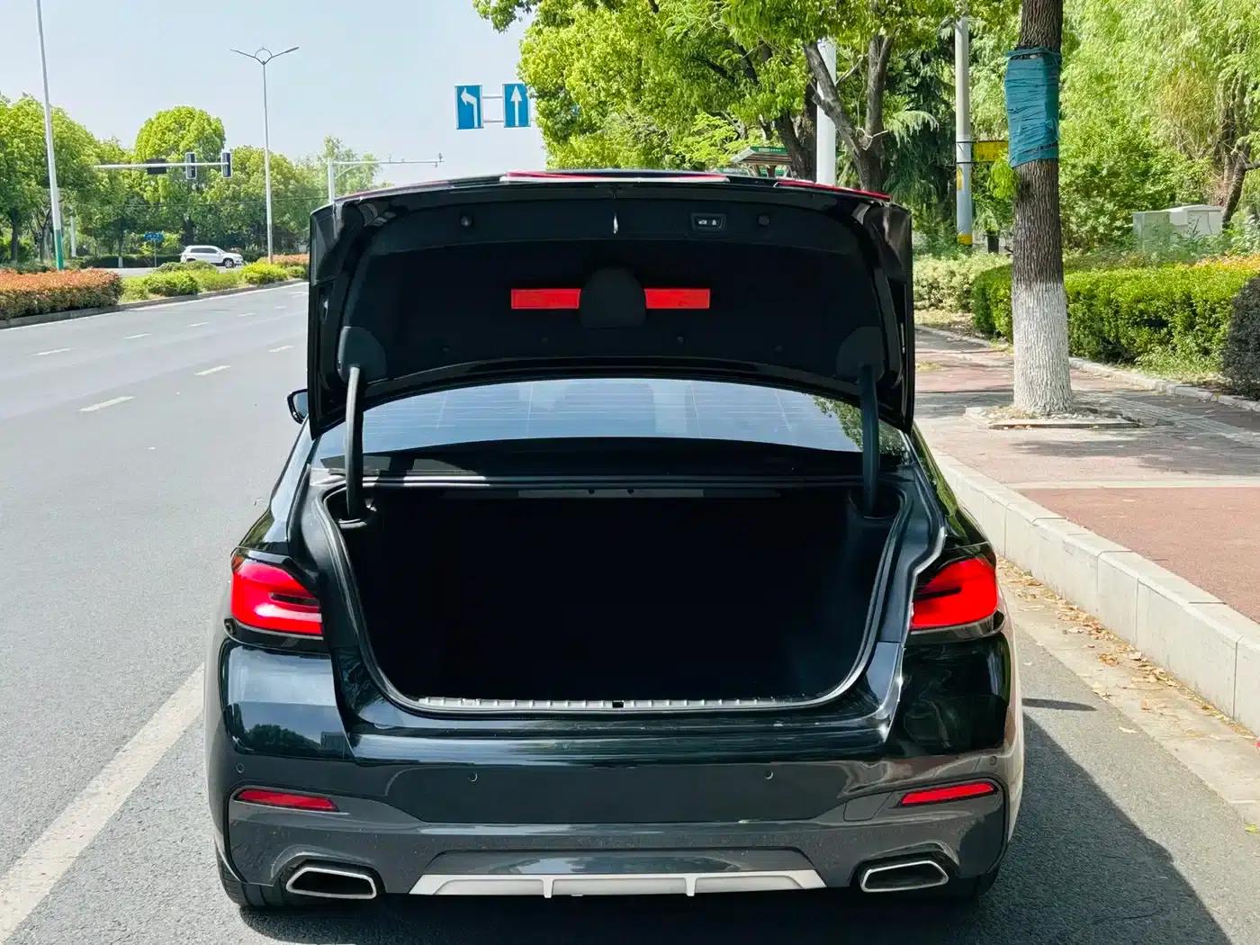 2022 BMW 5 Series Facelift 530Li Leading Edition M Sport Package — миниатюра 16