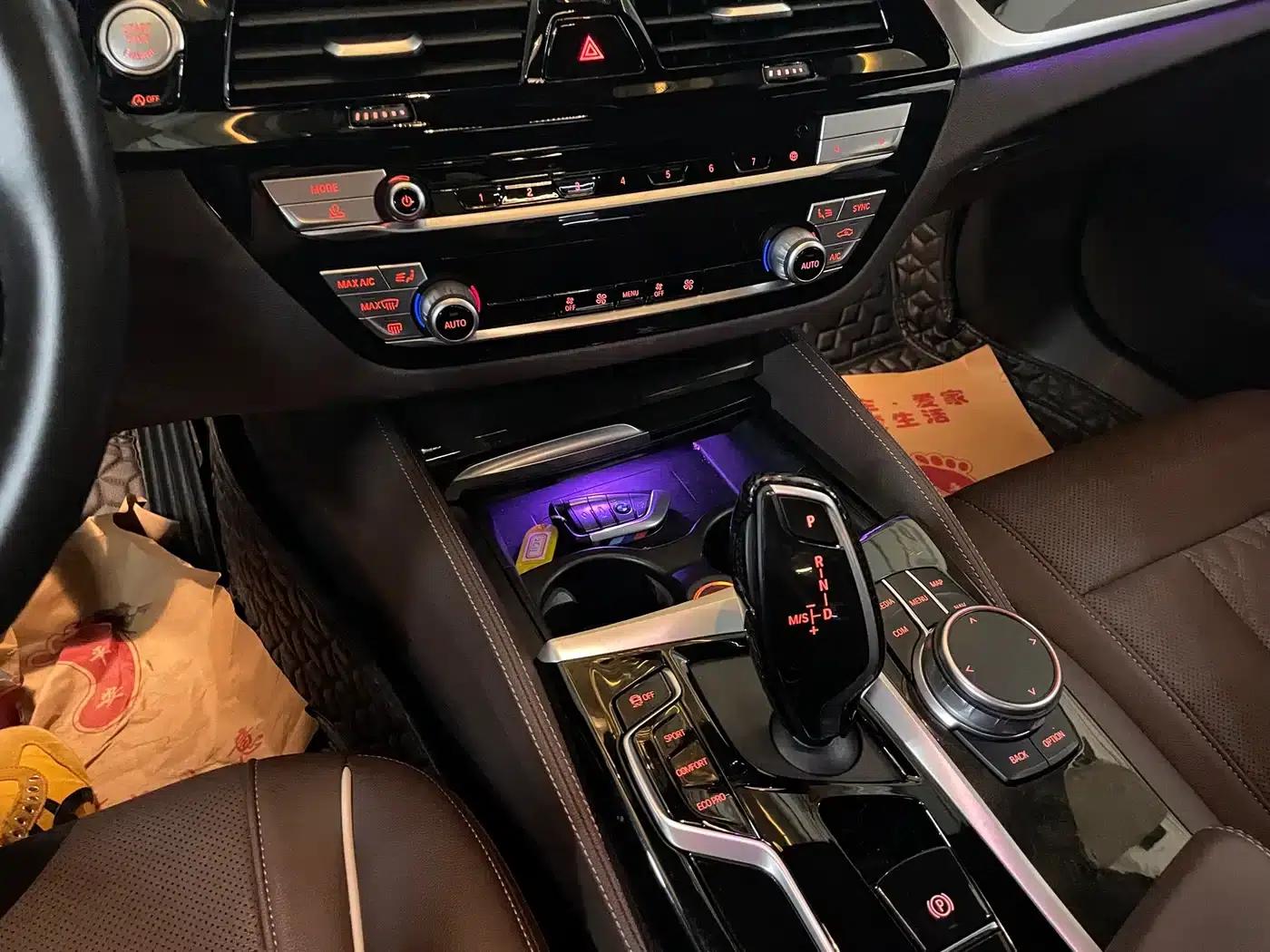 2021 BMW 5 Series 525Li Luxury Package — миниатюра 14