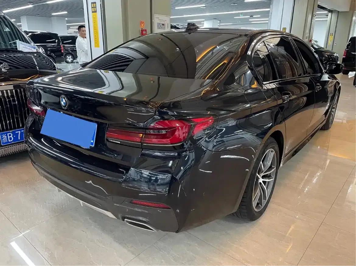2021 BMW 5 Series 525Li Luxury Package — миниатюра 8