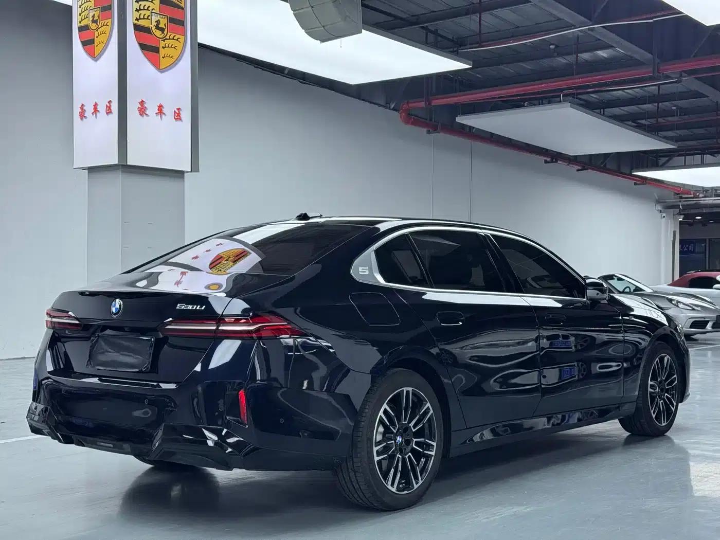 2025 BMW 5 Series 530Li Leading Edition M Sport Package — миниатюра 19