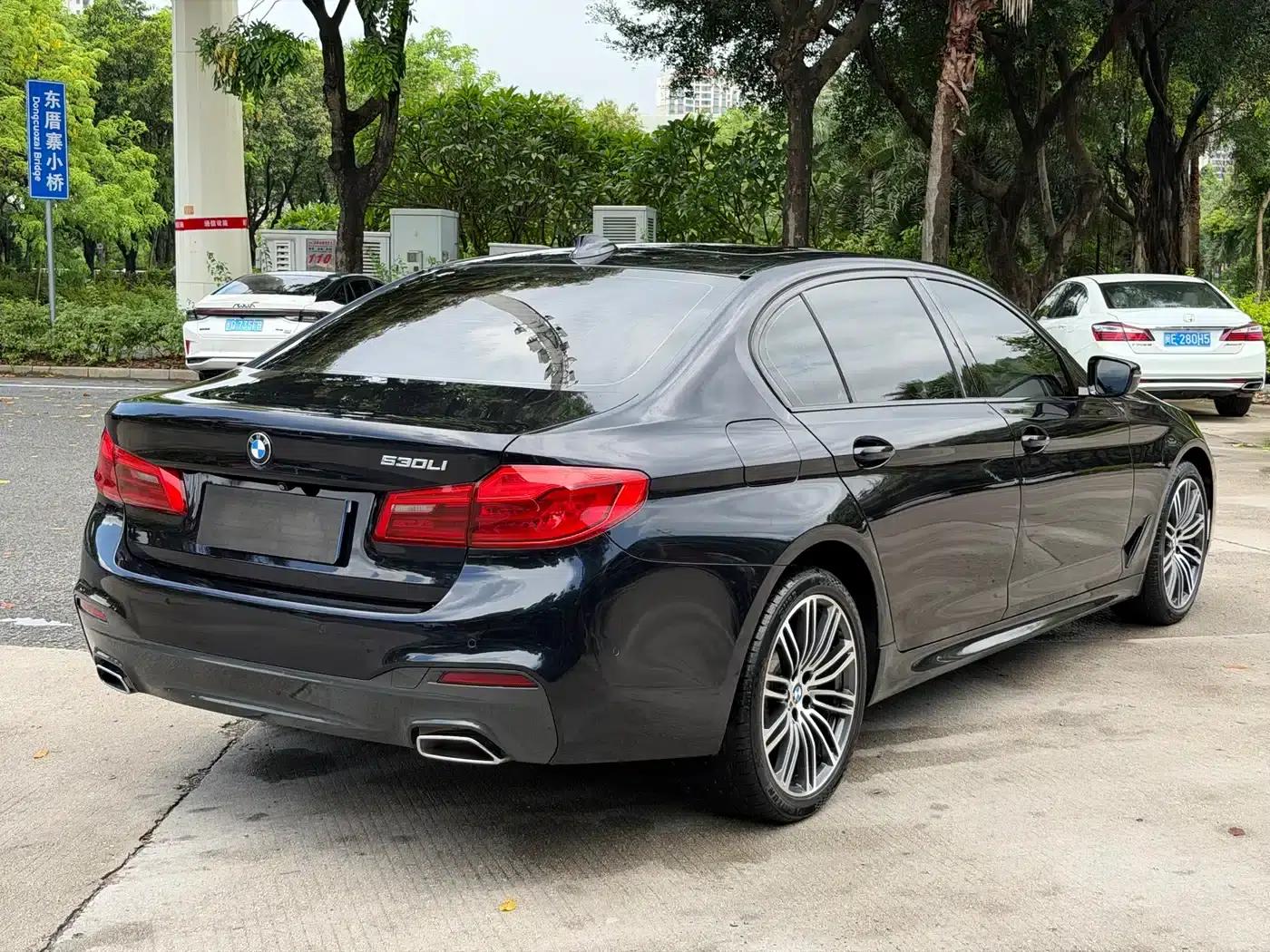 2019 BMW 5 Series 530Li Leading Edition M Sport Package — миниатюра 7