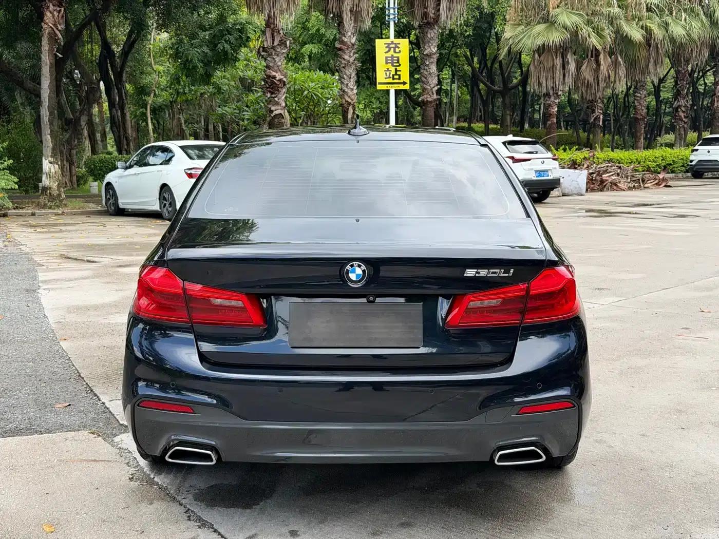 2019 BMW 5 Series 530Li Leading Edition M Sport Package — миниатюра 8