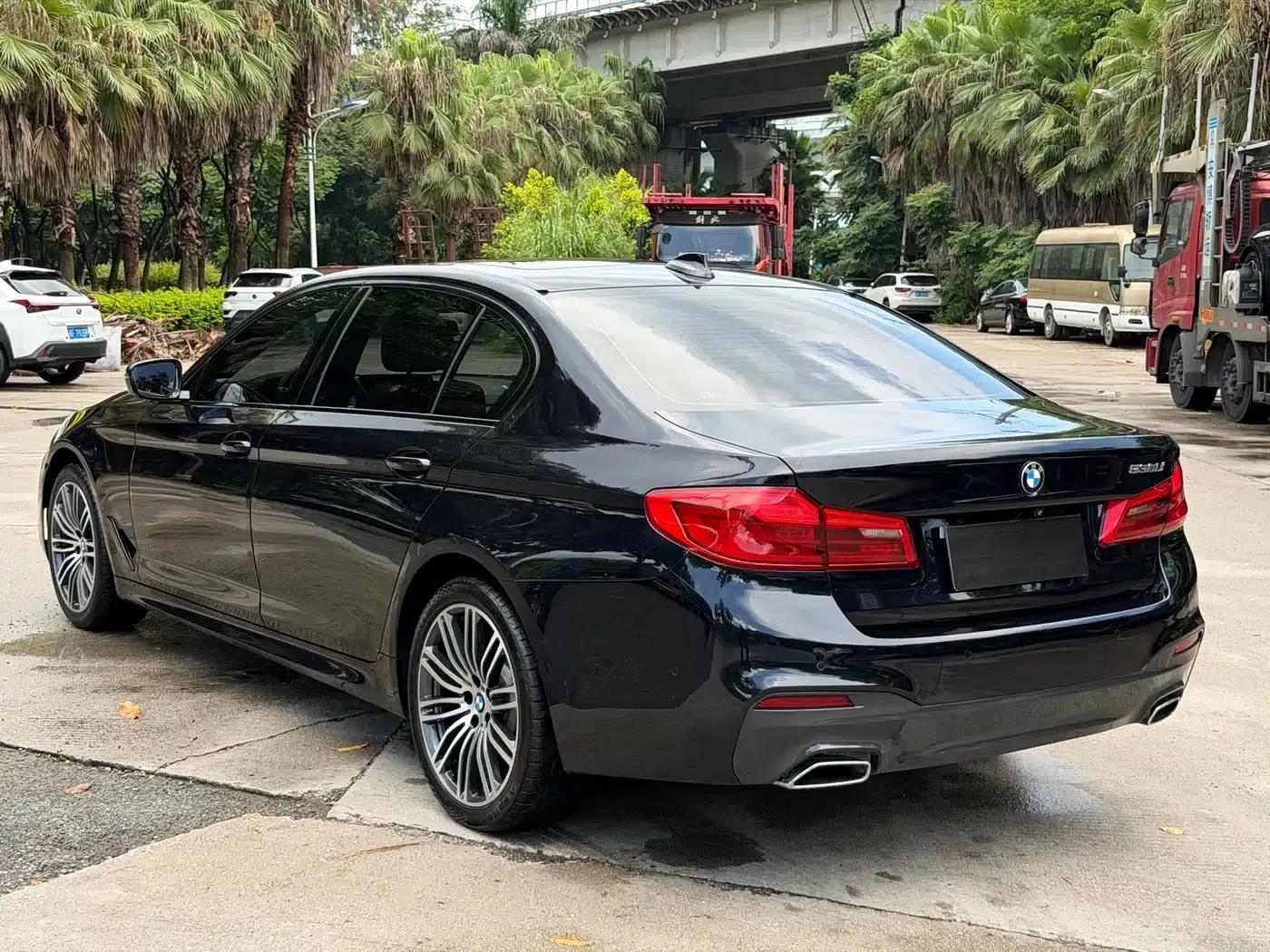 2019 BMW 5 Series 530Li Leading Edition M Sport Package — миниатюра 9