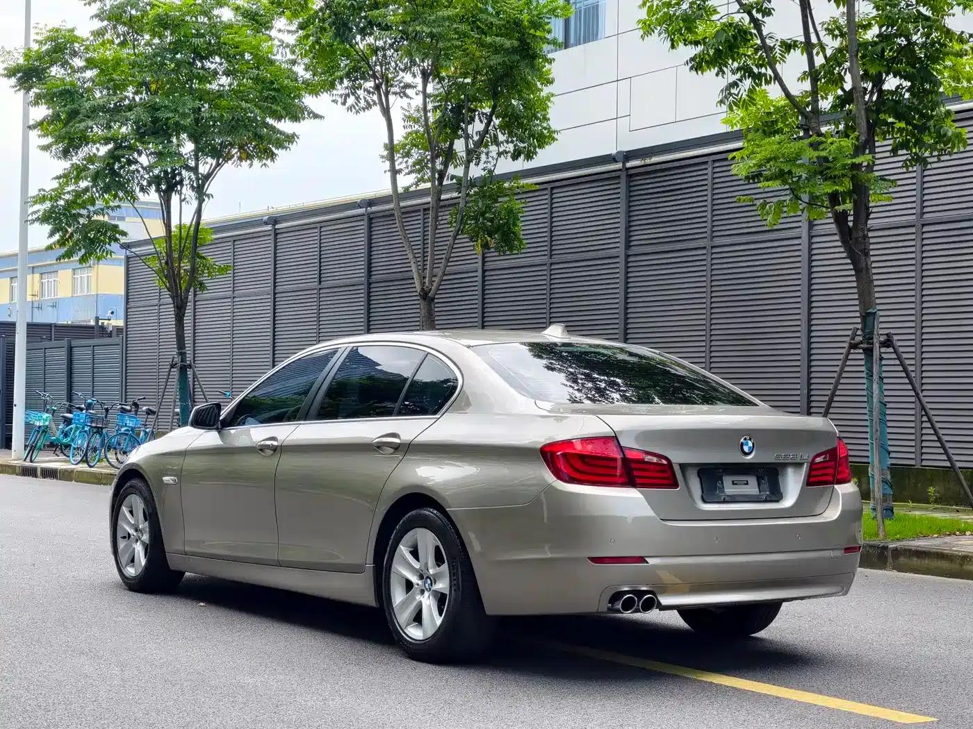2011 BMW 5 Series 528Li Luxury — миниатюра 6