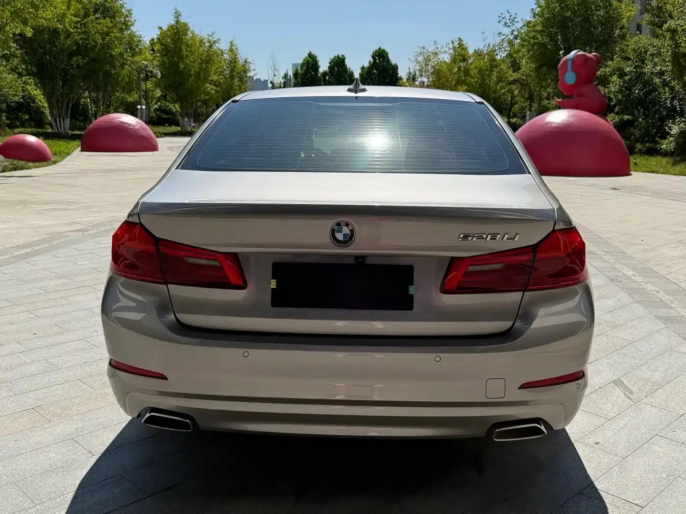 BMW 5 Series 2018 528Li Launch Special Edition — миниатюра 5