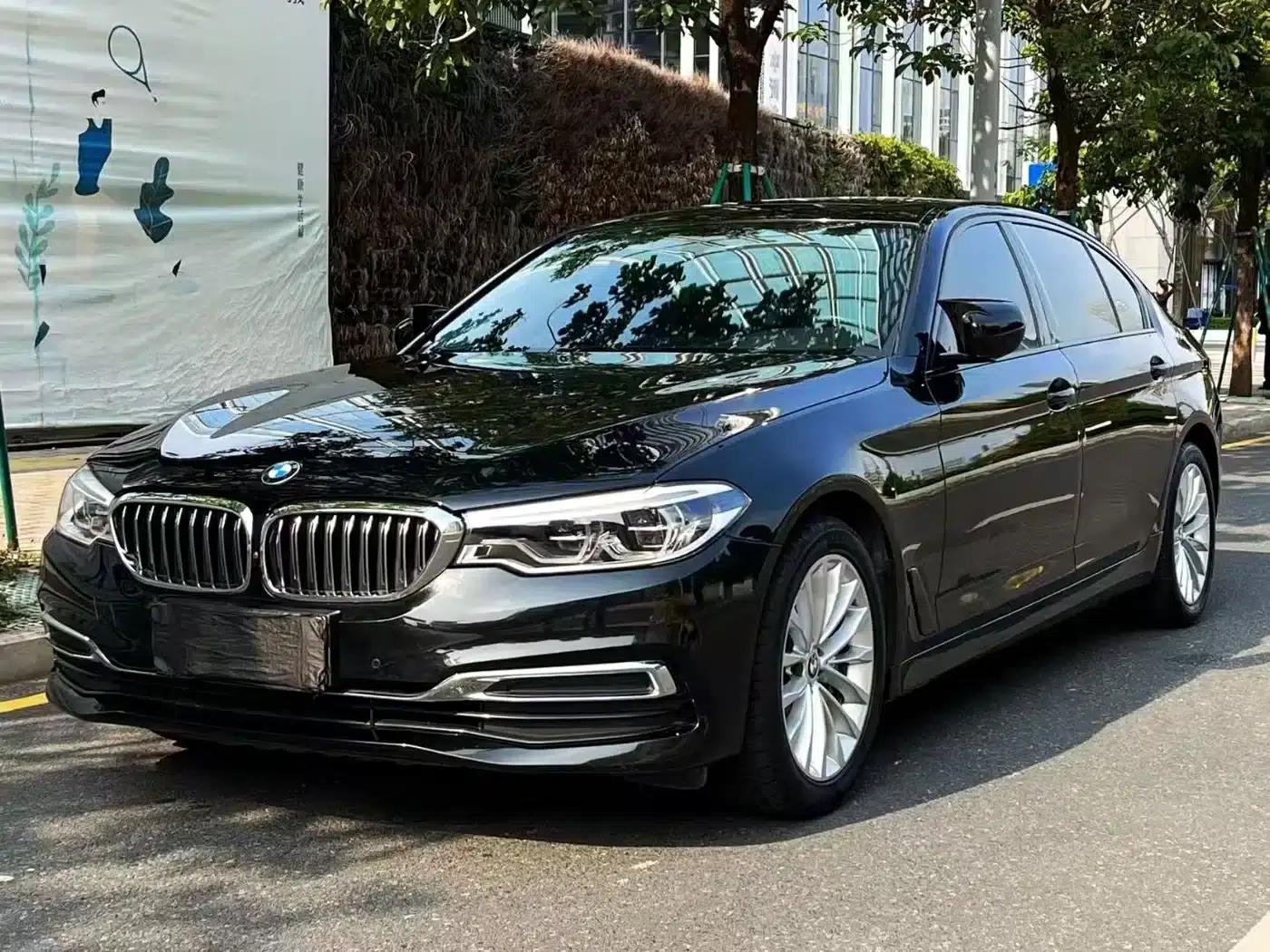 BMW 5 Series 2020 530Li Luxury Package — миниатюра 1